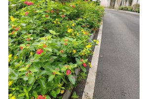 死亡证明的意义