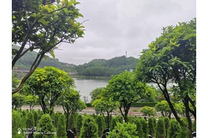 重庆大渡口区附近有哪些公墓