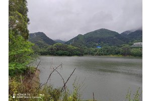 大渡口陵园，永恒的守望与传承